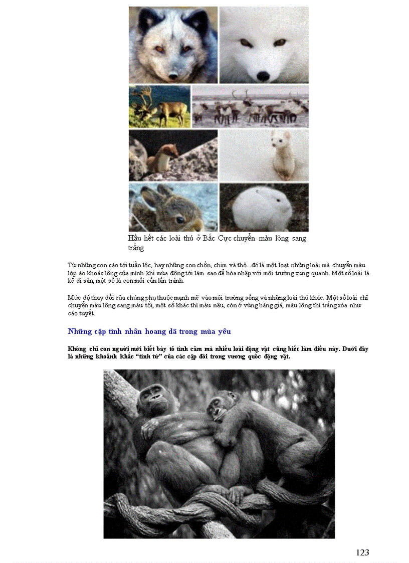 image for page Thông tin về thế giơi động vật PHẦN II