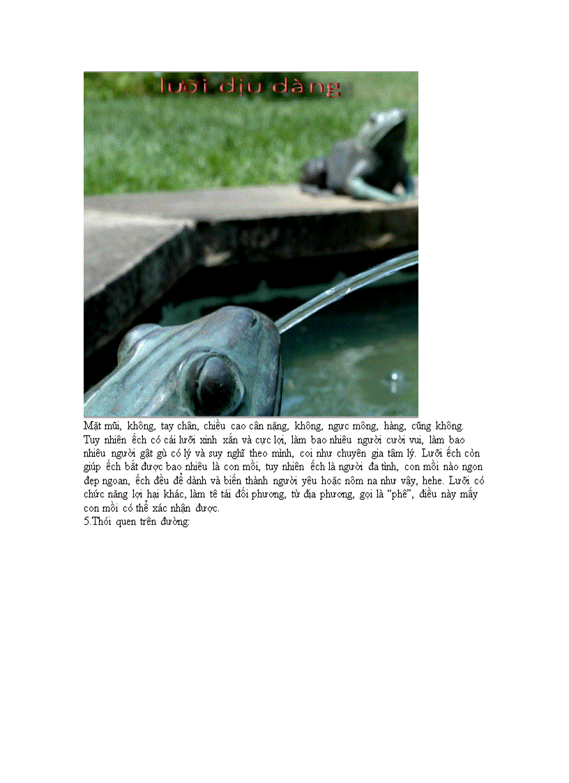 image for page Tu liệu về Ếch