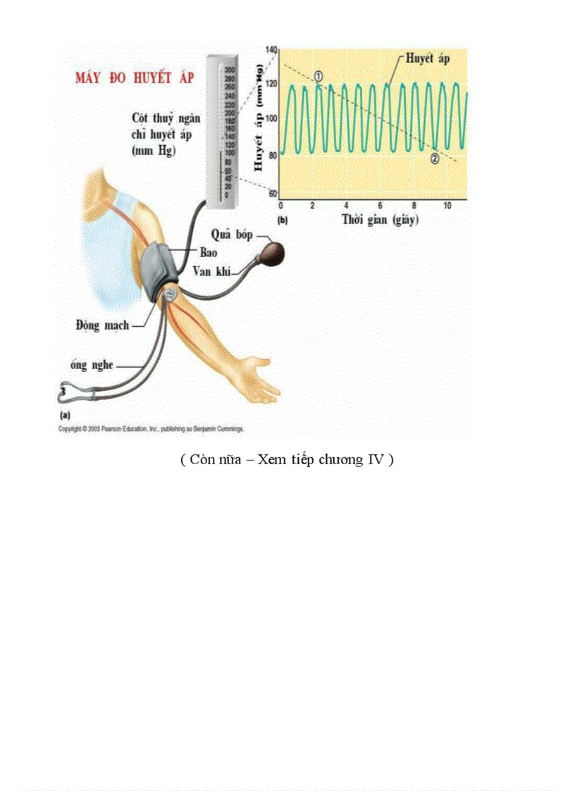 image for page Bo tranh sinh hoc 8 Chuong III
