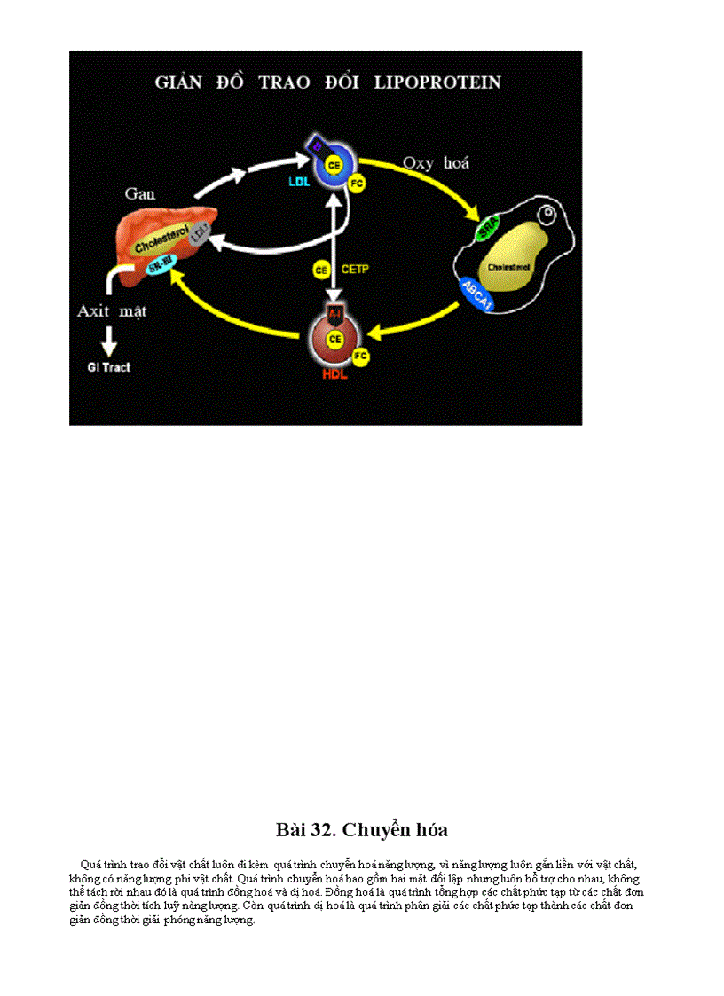 image for page Bo tranh Sinh hoc 8 Chuong VI