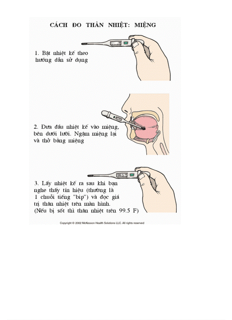 image for page Bo tranh Sinh hoc 8 Chuong VI