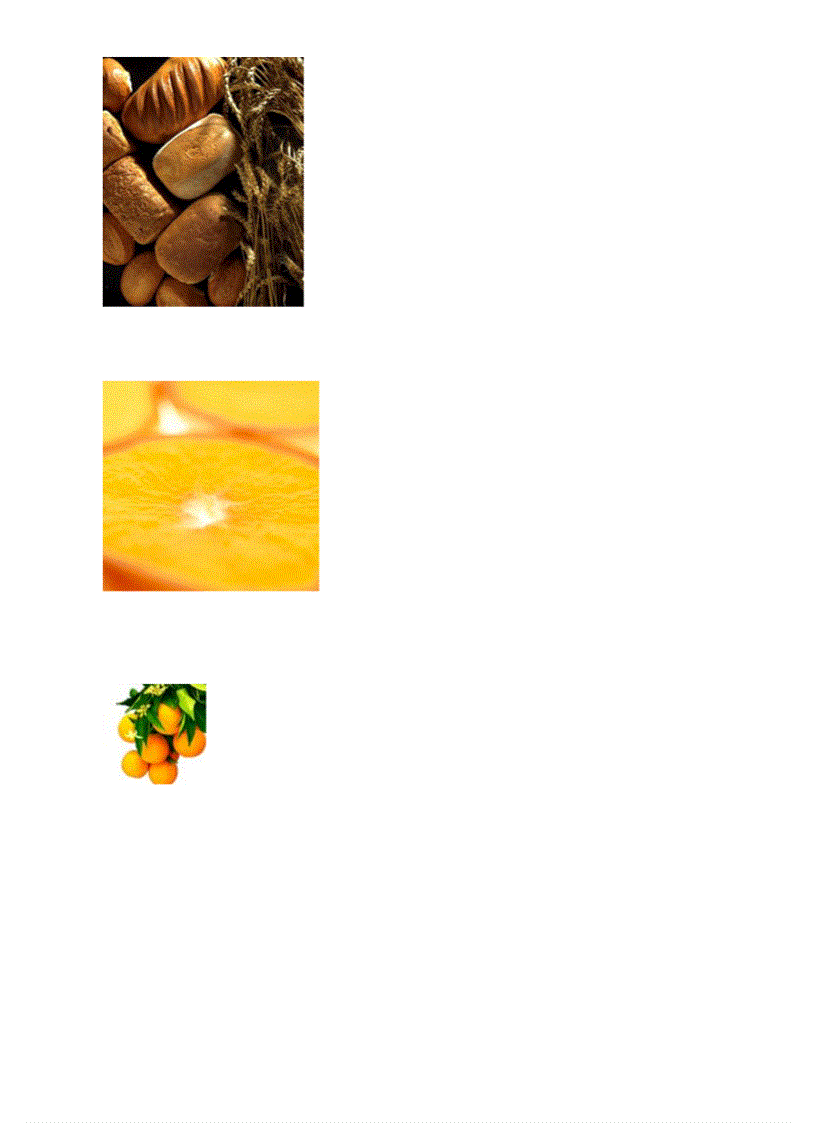 image for page Bo tranh Sinh hoc 8 Chuong VI