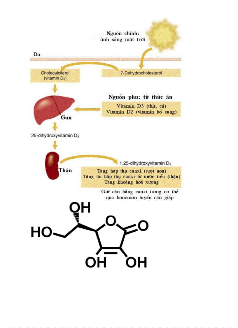 image for page Bo tranh Sinh hoc 8 Chuong VI