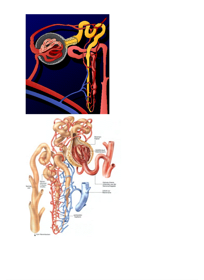 image for page Bo tranh Sinh hoc 8 Chuong VII