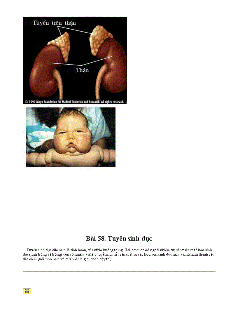 image for page Bo tranh Sinh hoc 8 Chuong X