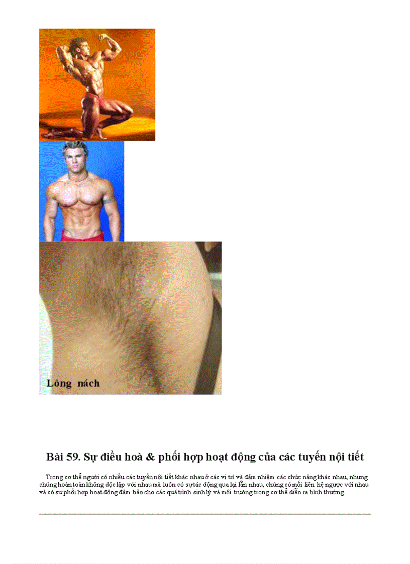 image for page Bo tranh Sinh hoc 8 Chuong X