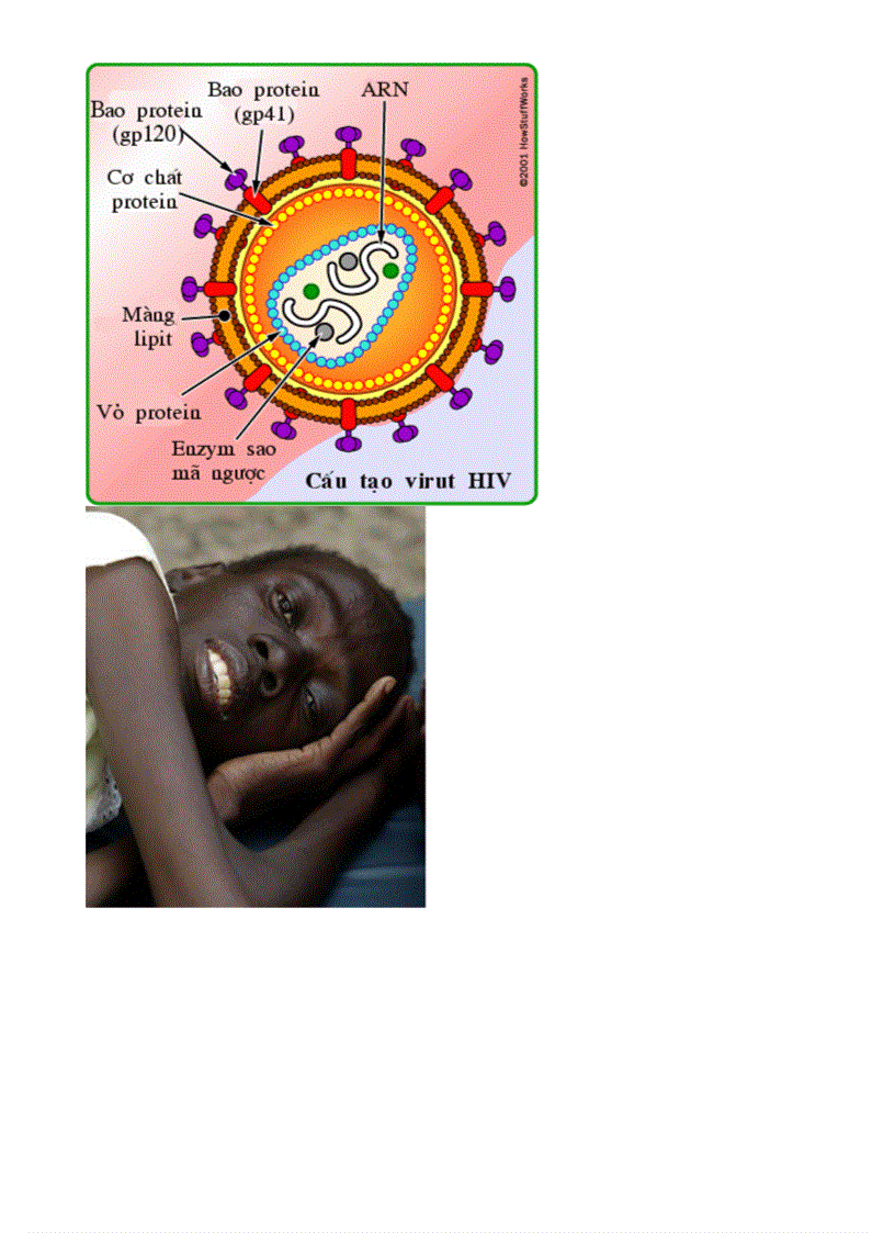 image for page Bo tranh Sinh hoc 8 Chuong XI