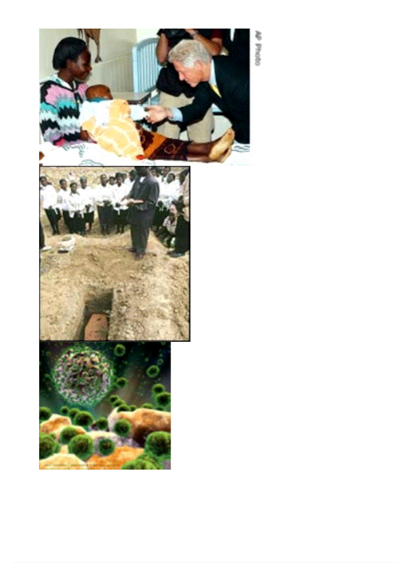 image for page Bo tranh Sinh hoc 8 Chuong XI