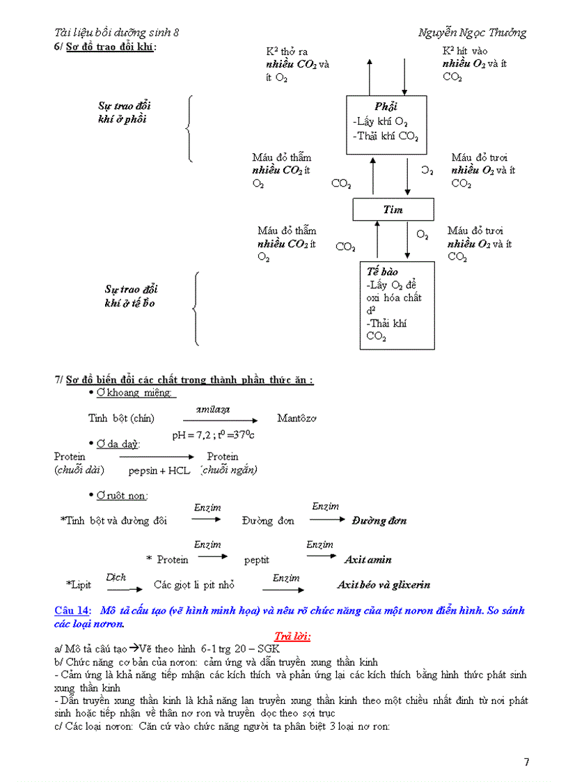image for page Boi duong sinh 8 theo chuong