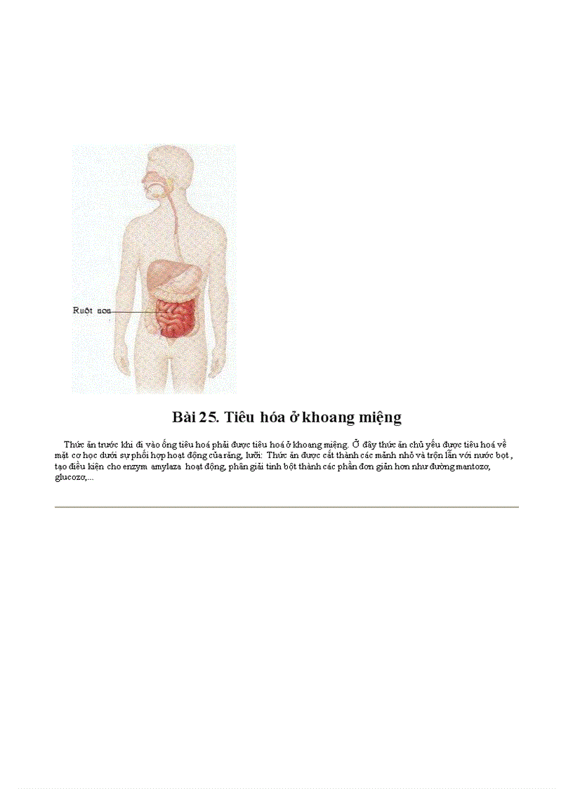 image for page Botranh sinh hoc 8 Chuong V