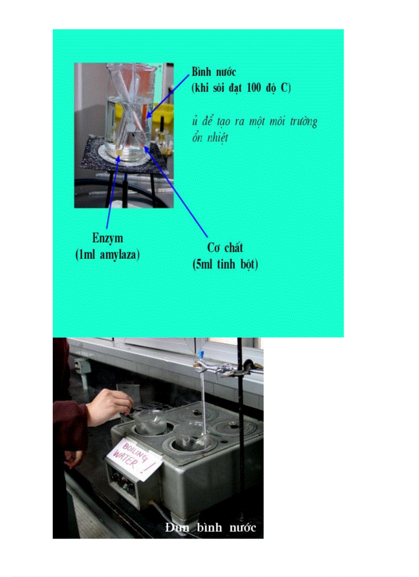 image for page Botranh sinh hoc 8 Chuong V