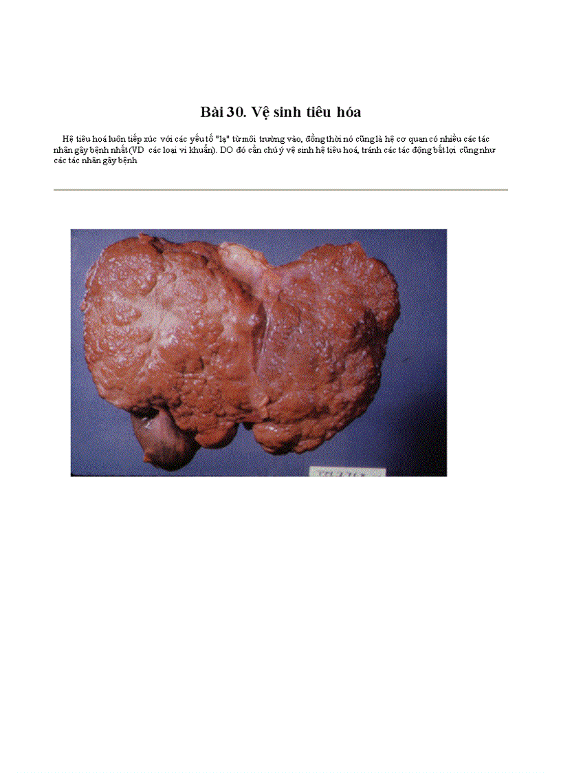 image for page Botranh sinh hoc 8 Chuong V