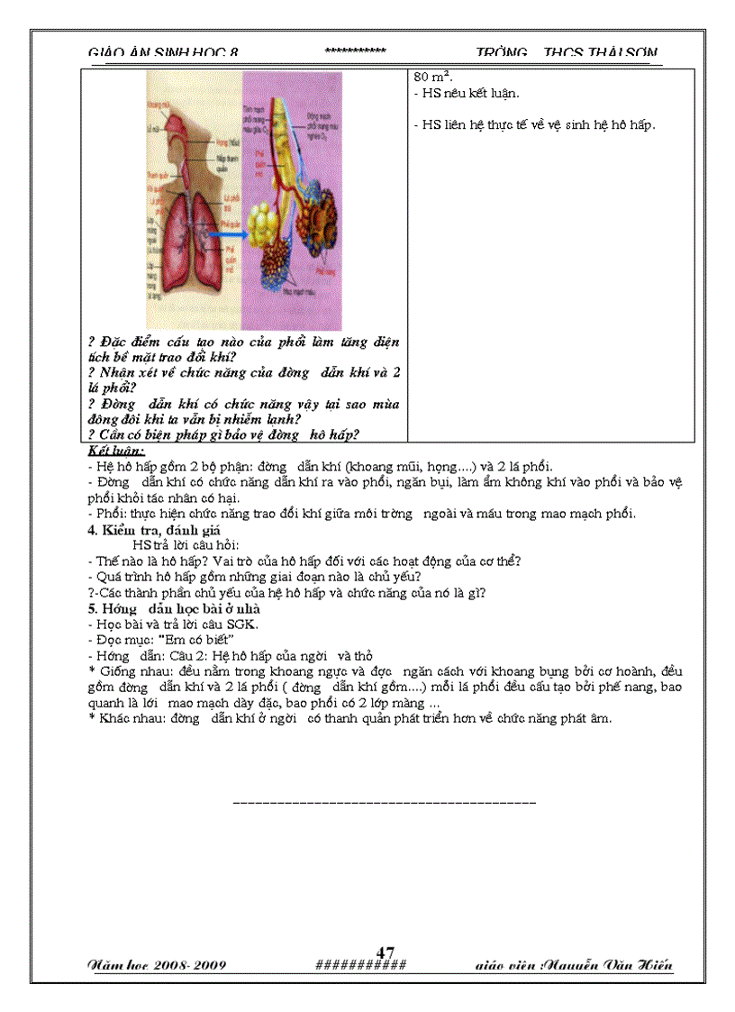 image for page Giáo án chi tiet co hình ảnh minh họa