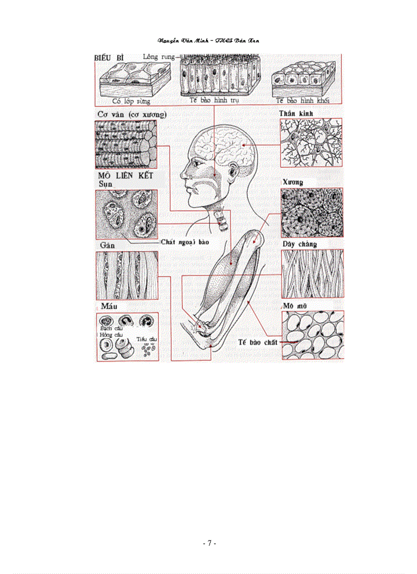 image for page Hình ảnh sinh học 8 đầy đủ Nguyễn Văn Minh