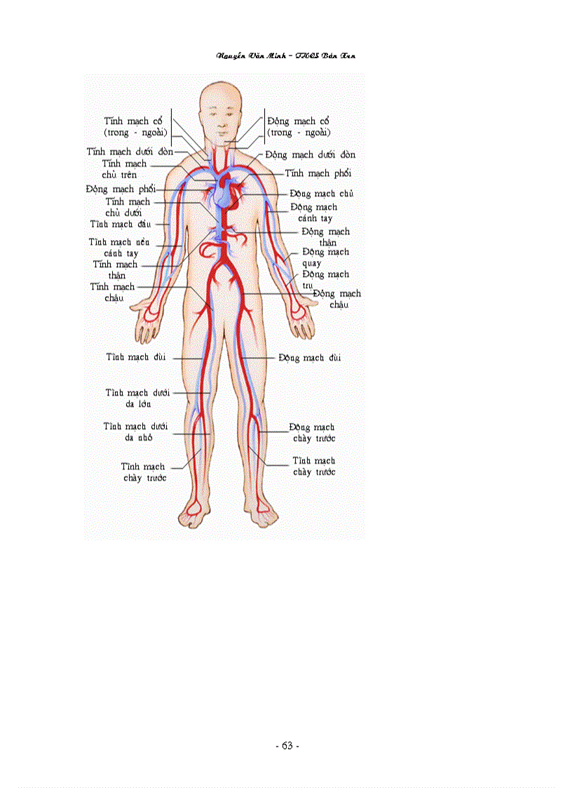 image for page Hình ảnh sinh học 8 đầy đủ Nguyễn Văn Minh