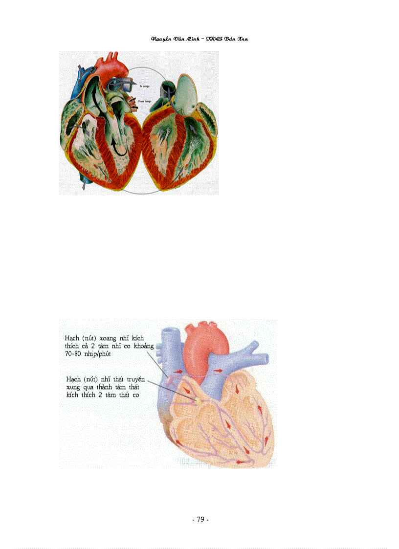 image for page Hình ảnh sinh học 8 đầy đủ Nguyễn Văn Minh