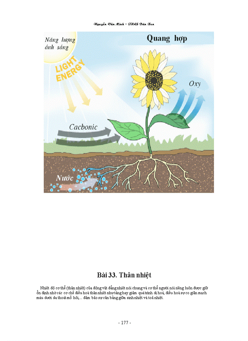 image for page Hình ảnh sinh học 8 đầy đủ Nguyễn Văn Minh