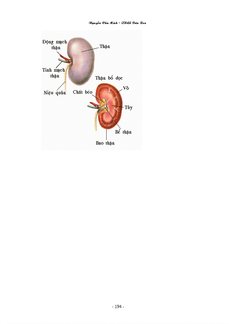image for page Hình ảnh sinh học 8 đầy đủ Nguyễn Văn Minh