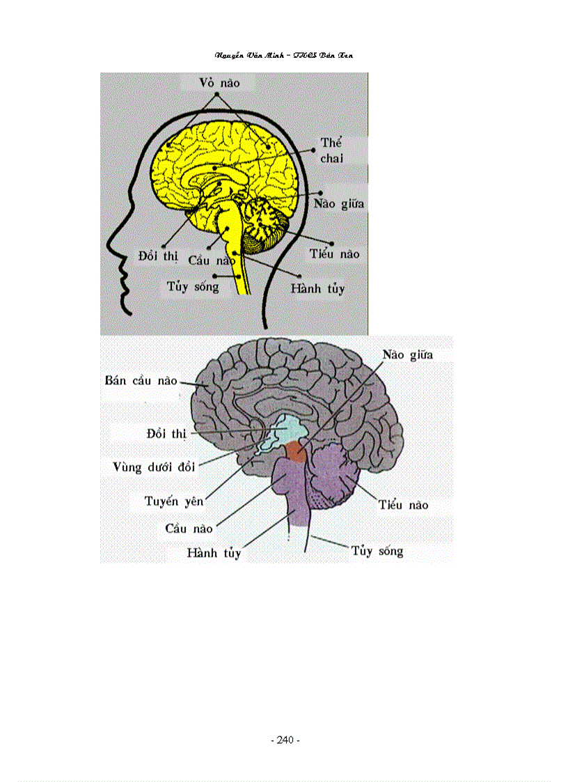 image for page Hình ảnh sinh học 8 đầy đủ Nguyễn Văn Minh