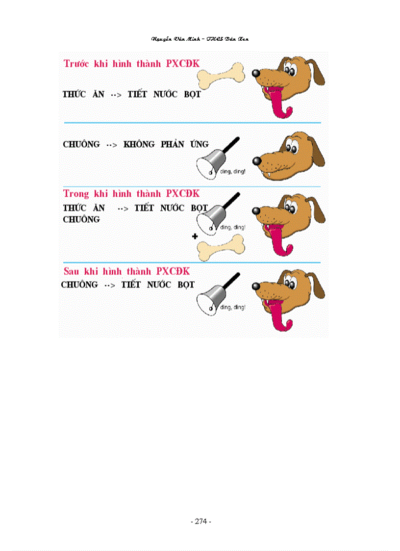 image for page Hình ảnh sinh học 8 đầy đủ Nguyễn Văn Minh