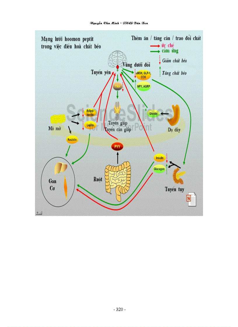image for page Hình ảnh sinh học 8 đầy đủ Nguyễn Văn Minh