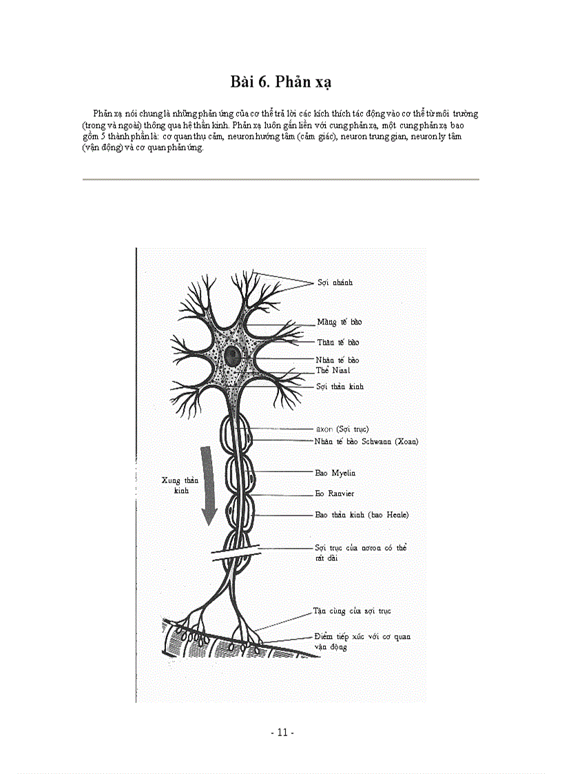 image for page Hình ảnh sinh học 8