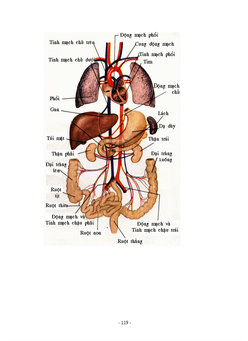 image for page Hình ảnh sinh học 8