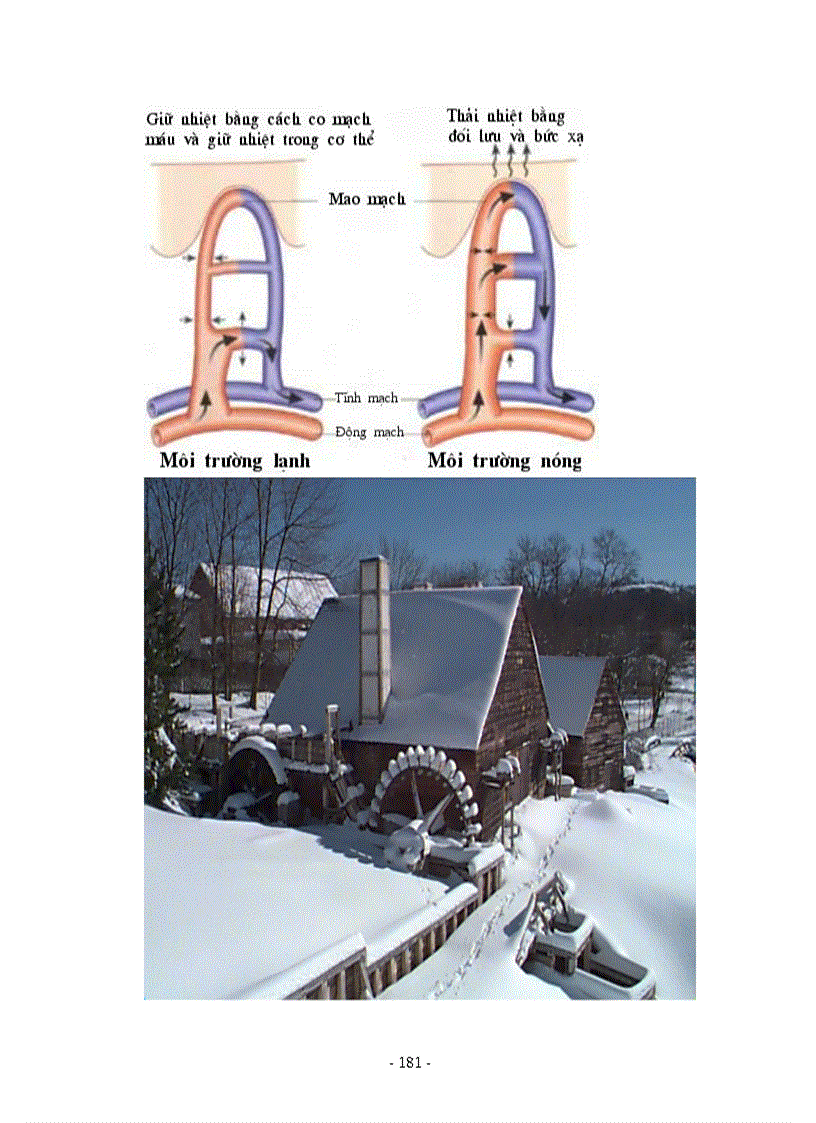 image for page Hình ảnh sinh học 8