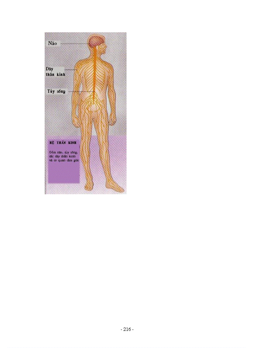 image for page Hình ảnh sinh học 8