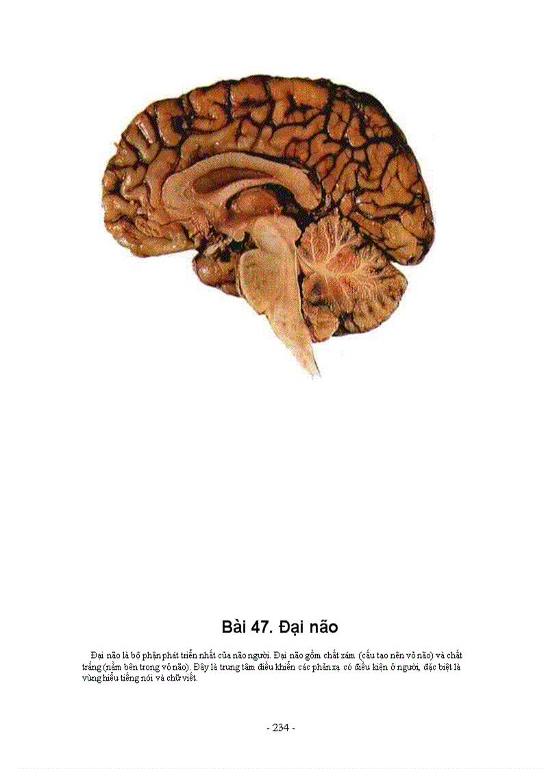 image for page Hình ảnh sinh học 8