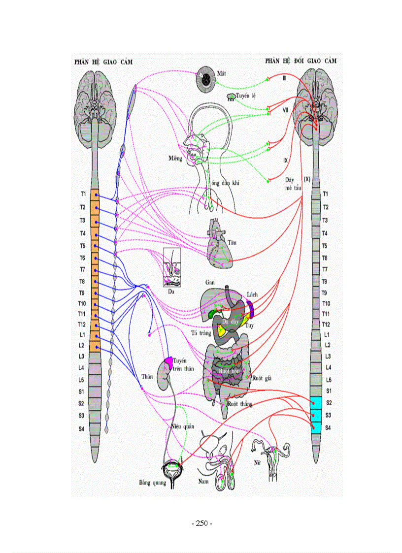 image for page Hình ảnh sinh học 8