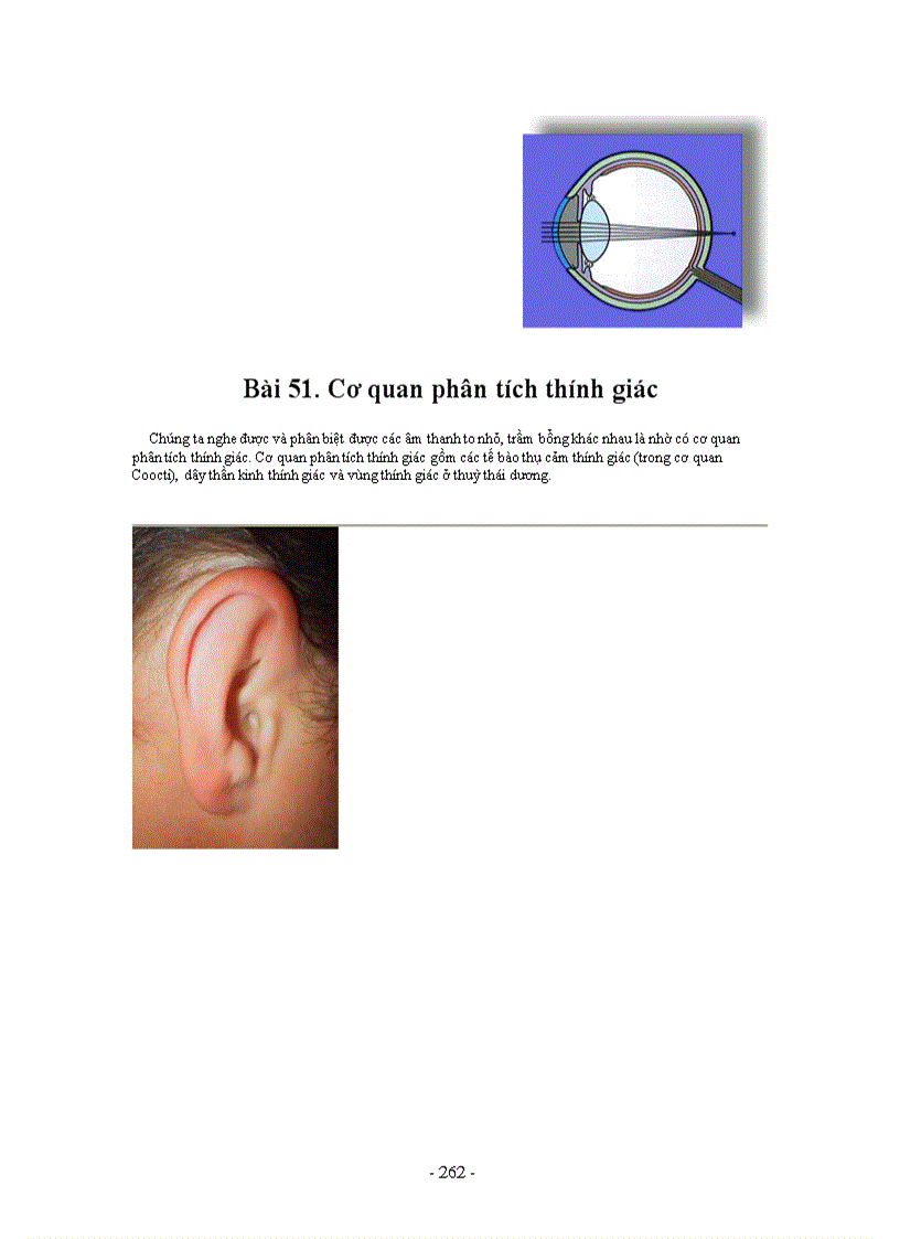 image for page Hình ảnh sinh học 8