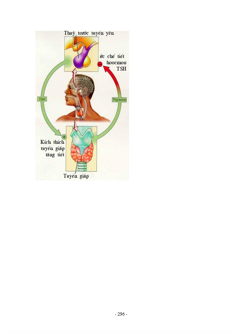 image for page Hình ảnh sinh học 8