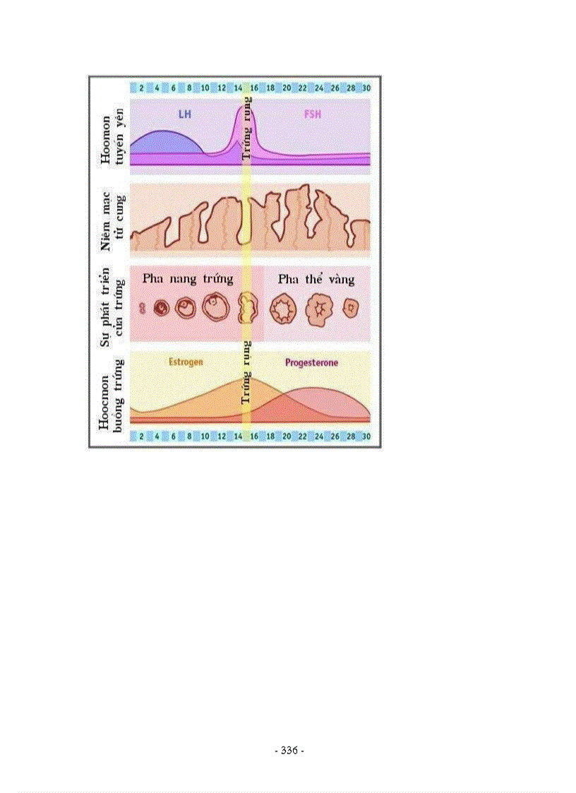 image for page Hình ảnh sinh học 8