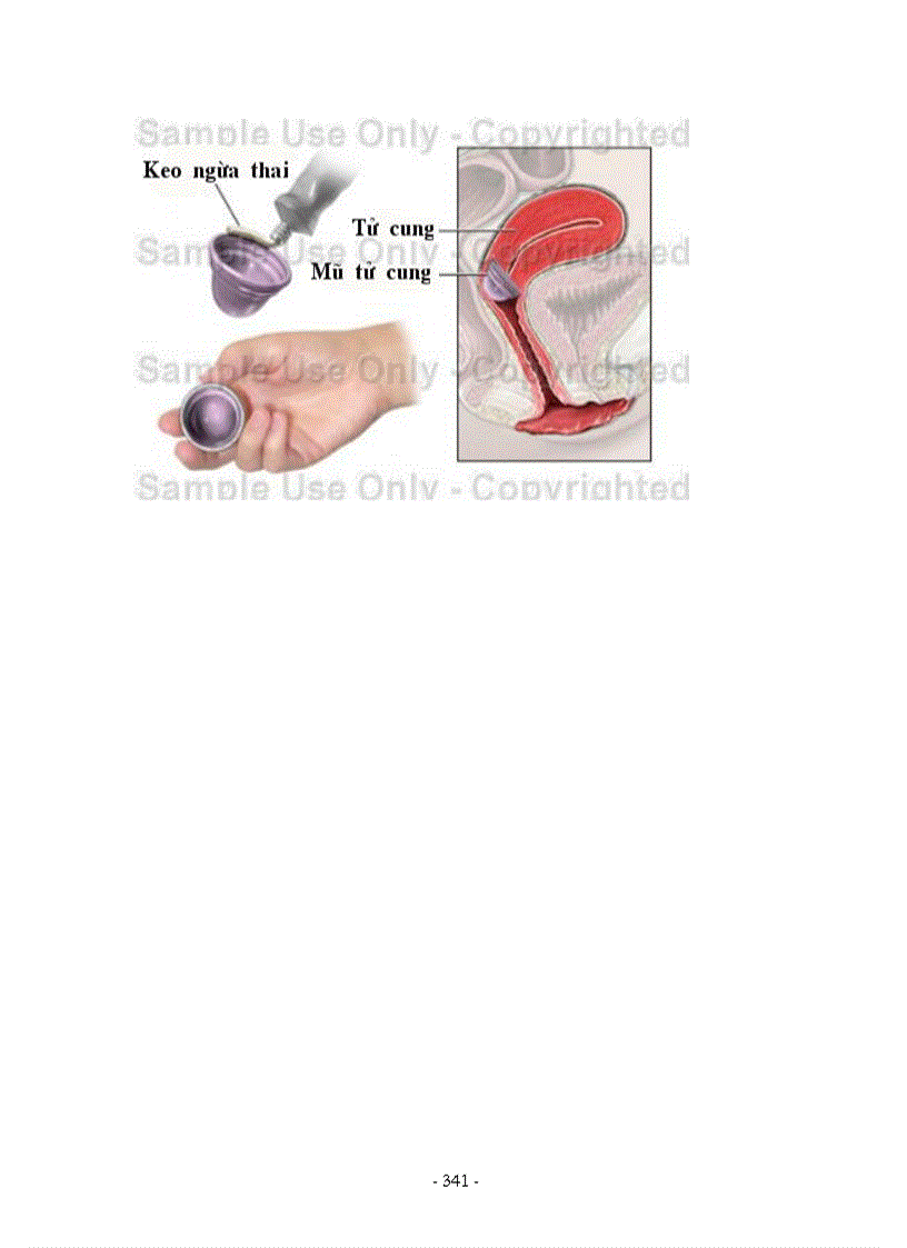 image for page Hình ảnh sinh học 8