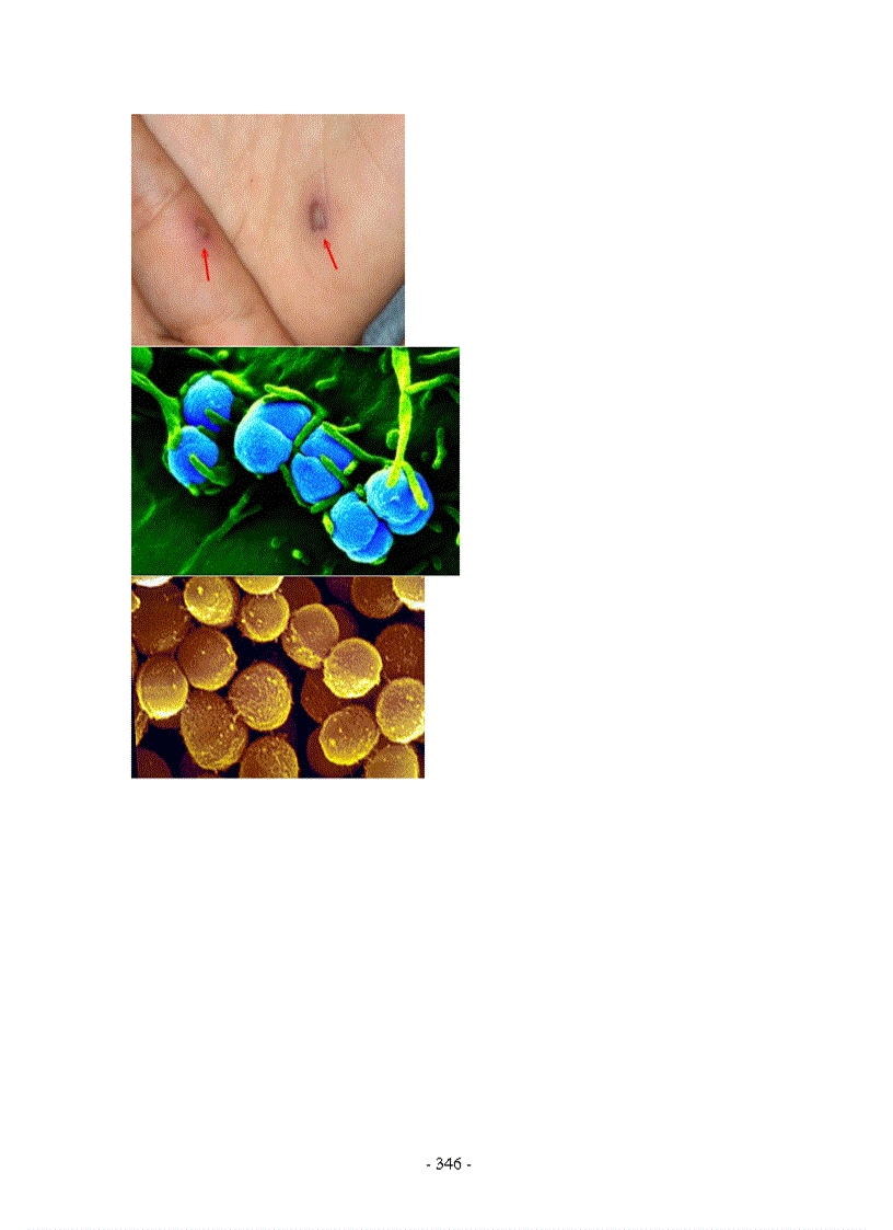 image for page Hình ảnh sinh học 8