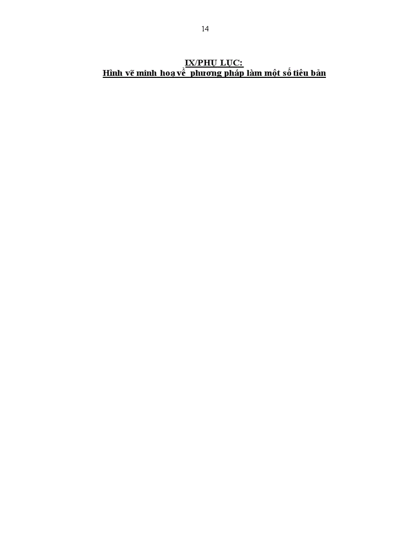 image for page SKKN bồi dưỡng thực hành sinh học 8