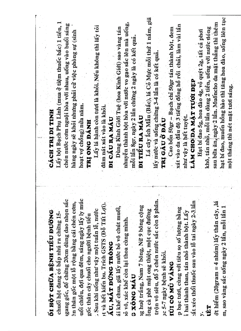 image for page Bài thuốc chữa bệnh dân gian hay