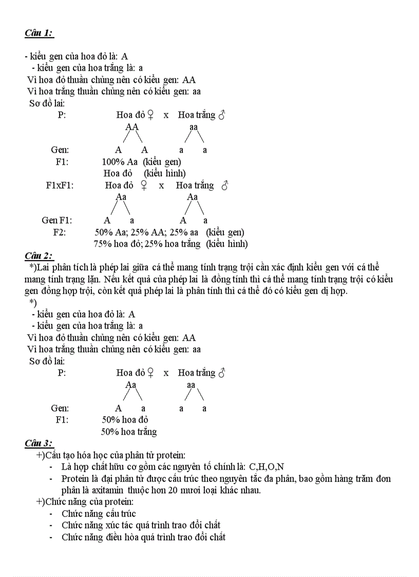 image for page Câu hỏi ôn tập sinh 9