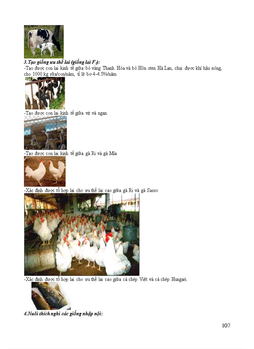 image for page Chuẩn kiến thức kỹ năng