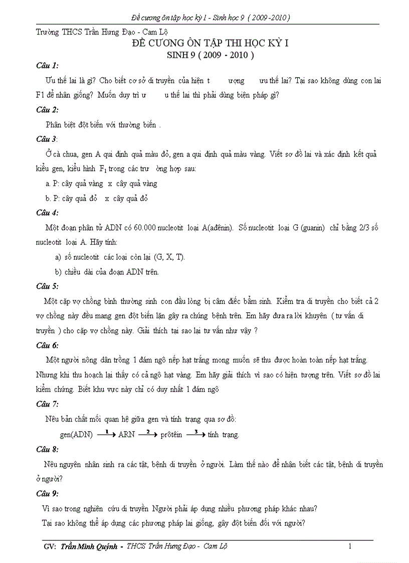 image for page De cuong on tap hk I