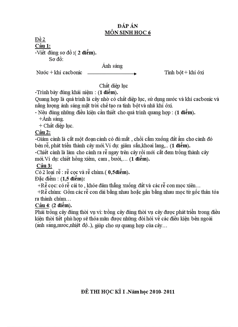 image for page De dap an KT SINH 6 7 8 9