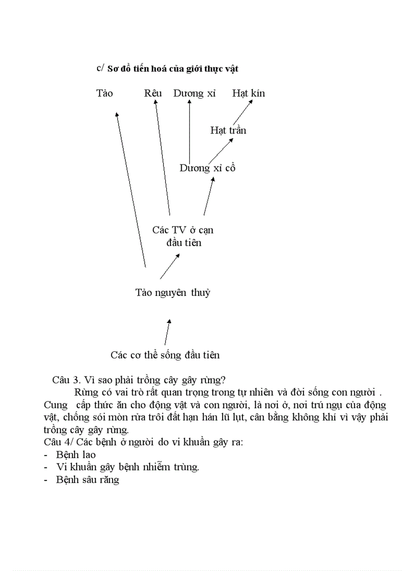 image for page De kiem tra theo ma tran