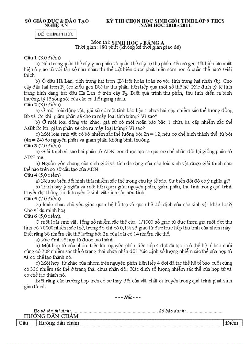 image for page De thi hsg gioi sinh nghe an nam 2011 hot