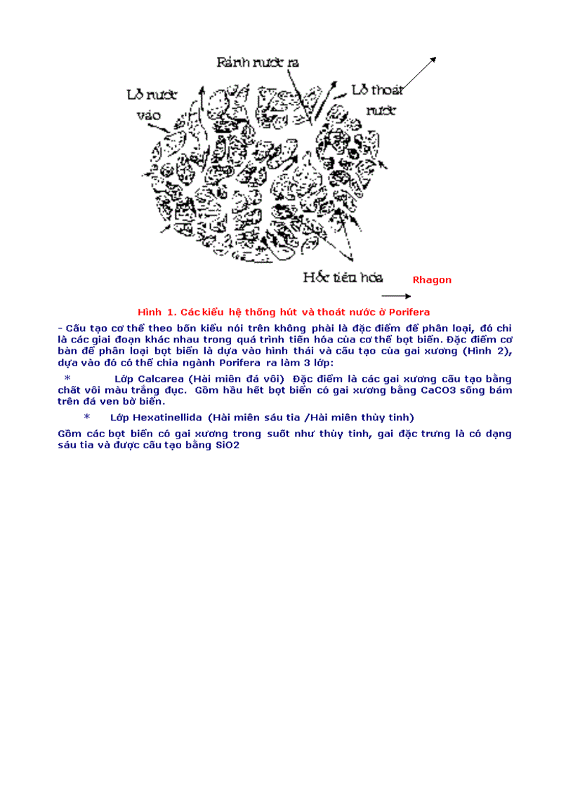 image for page Dong vat nguyen sinh