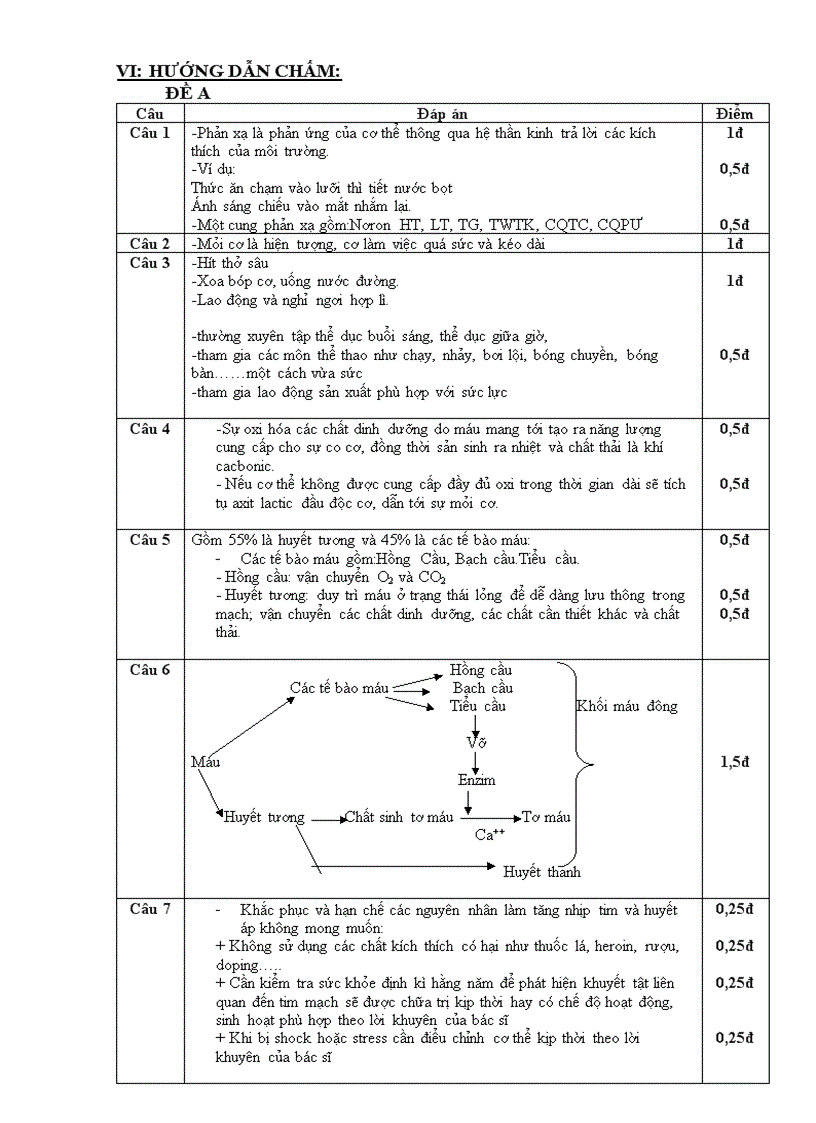 image for page Giao an de kiem tra co ma tran