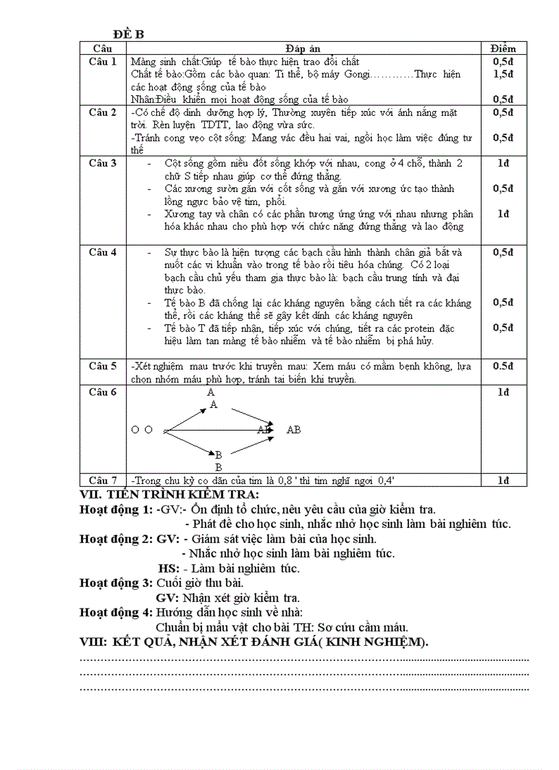 image for page Giao an de kiem tra co ma tran
