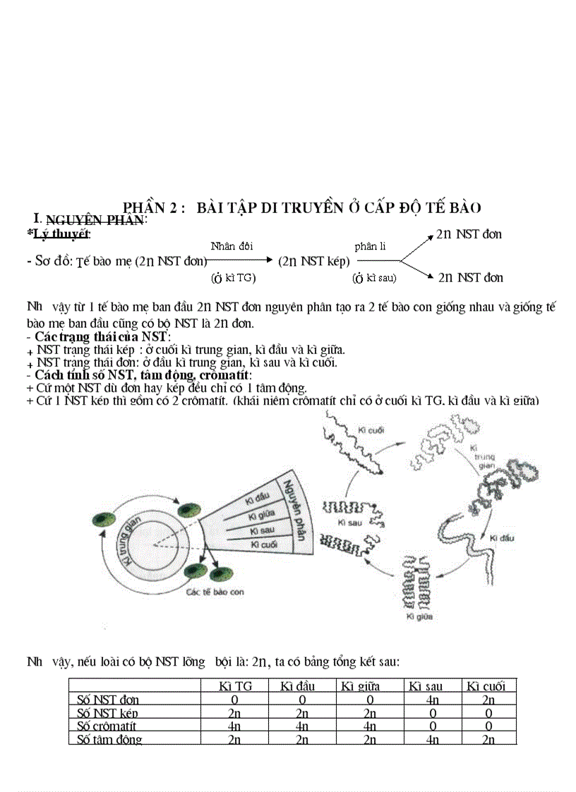 image for page Giao an on hsg sinh 9 cuc hay