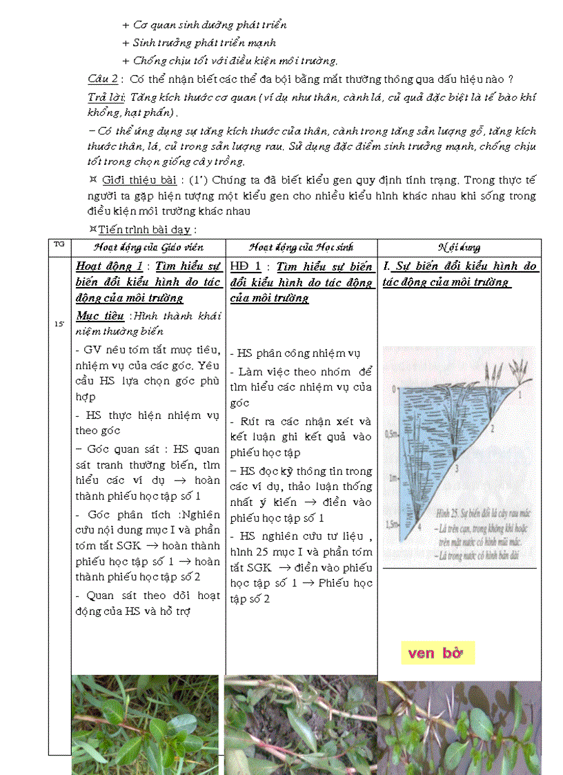 image for page Giáo án thao giảng