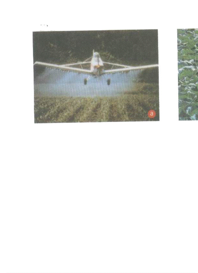 image for page Hình ảnh Sinh Học 9 Hot